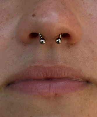 Септум